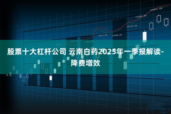 股票十大杠杆公司 云南白药2025年一季报解读-降费增效