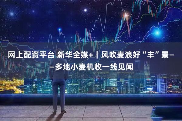 网上配资平台 新华全媒+｜风吹麦浪好“丰”景——多地小麦机收一线见闻
